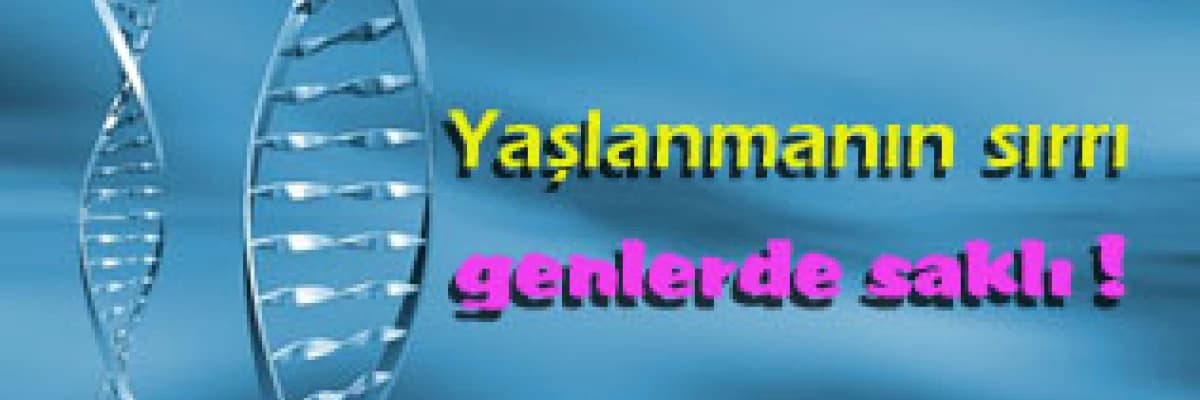 Gentest yaşlanmanın sırrı genlerde saklı !