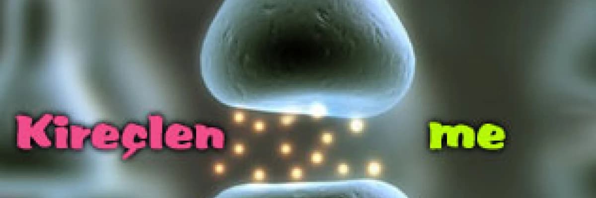 Kireçlenme (osteoartroz)