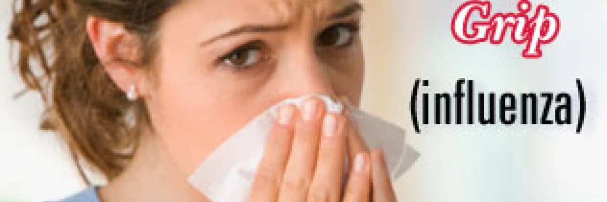 Grip (influenza)