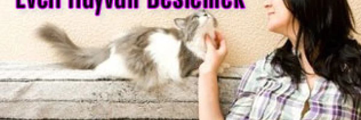 Hamilelikte evcil hayvan beslemek