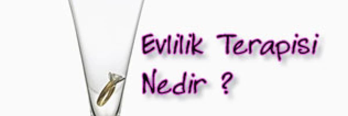 Evlilik terapisi nedir ? kimler evlilik terapisi almalıdır ?
