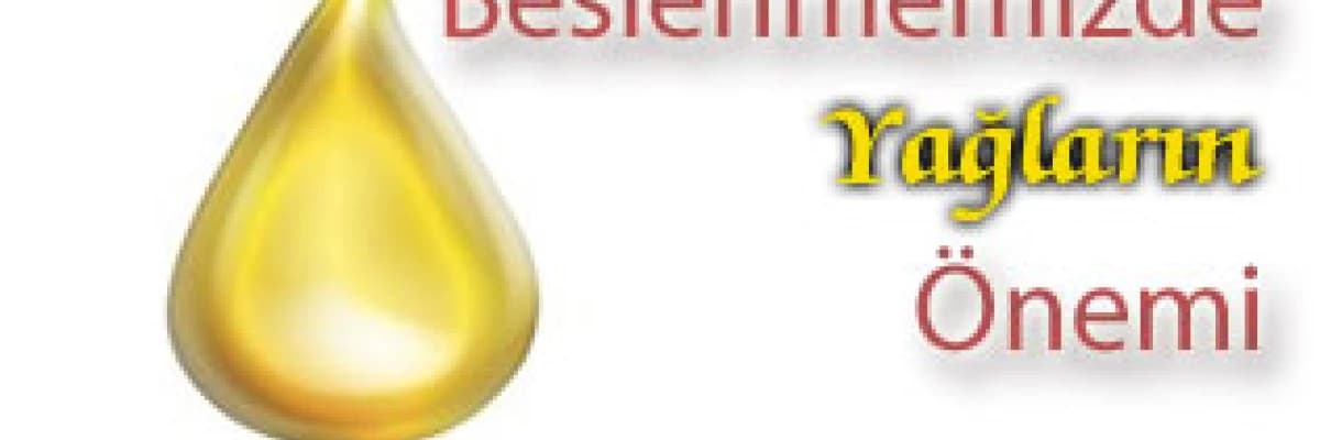 Beslenmemizde yağların önemi
