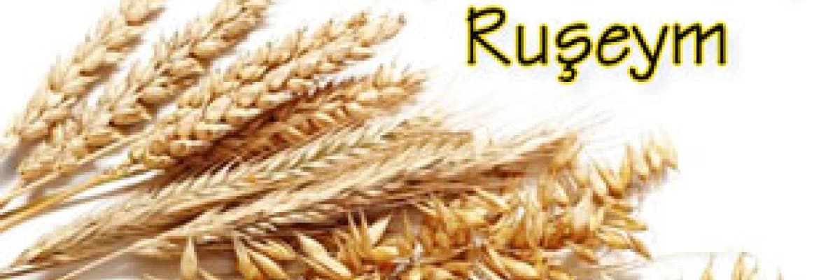 Sağlıklı yaşam kaynağı ruşeym !!!