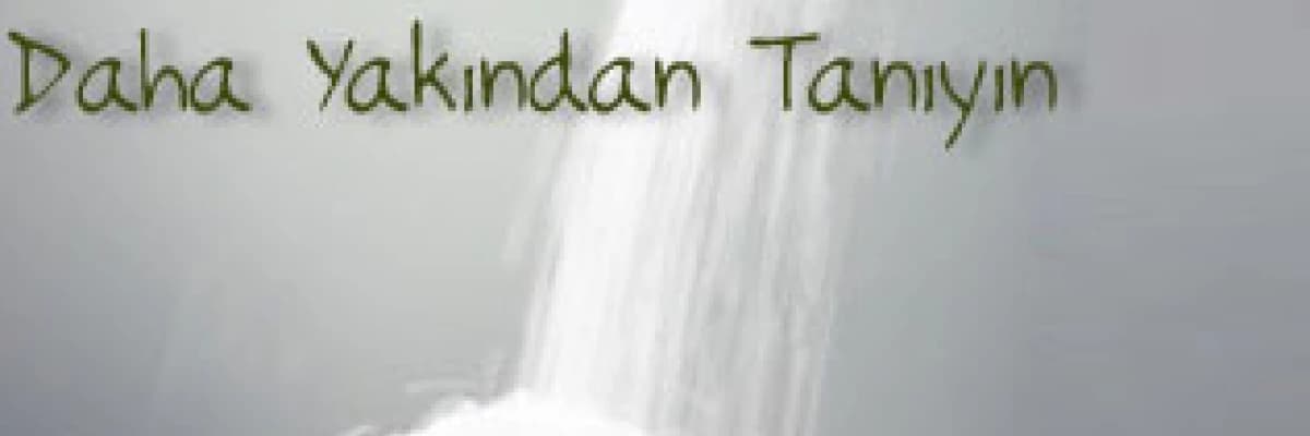 Tuzu daha yakından tanıyın : tuz dosyası