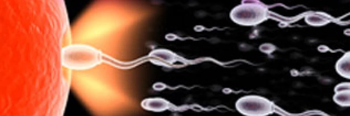 Çiftler için Kısırlık Tedavisi