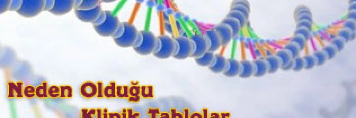 Epstein - Barr Virüsü ve Neden Olduğu Klinik Tablolar