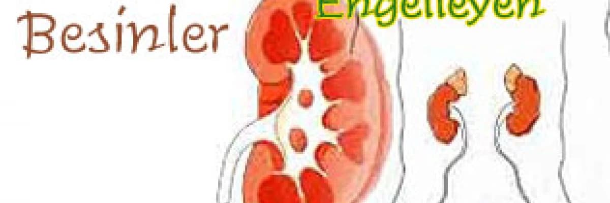 Böbrek taşı oluşumunu engelleyen besinler