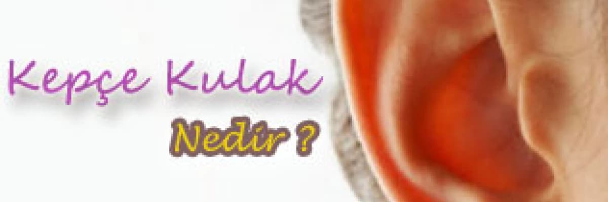 Kepçe kulak nedir ?