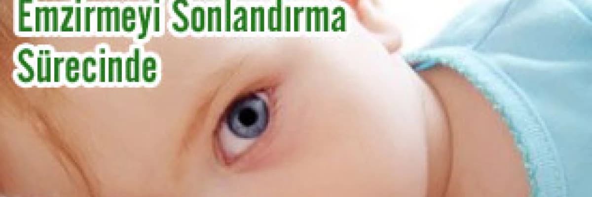 Emzirmeyi sonlandırma  sürecinde  annelere pratik öneriler