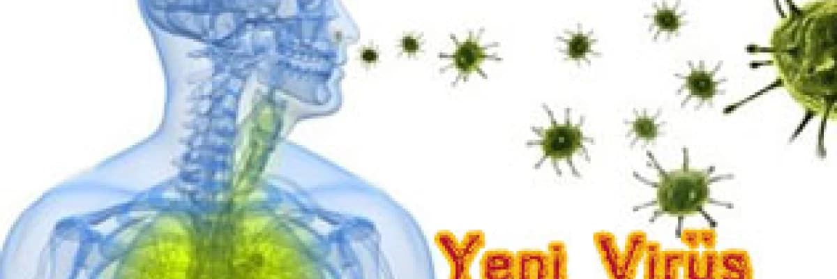 İyileşmeyen Gribin Sebebi ; Yeni Virüs