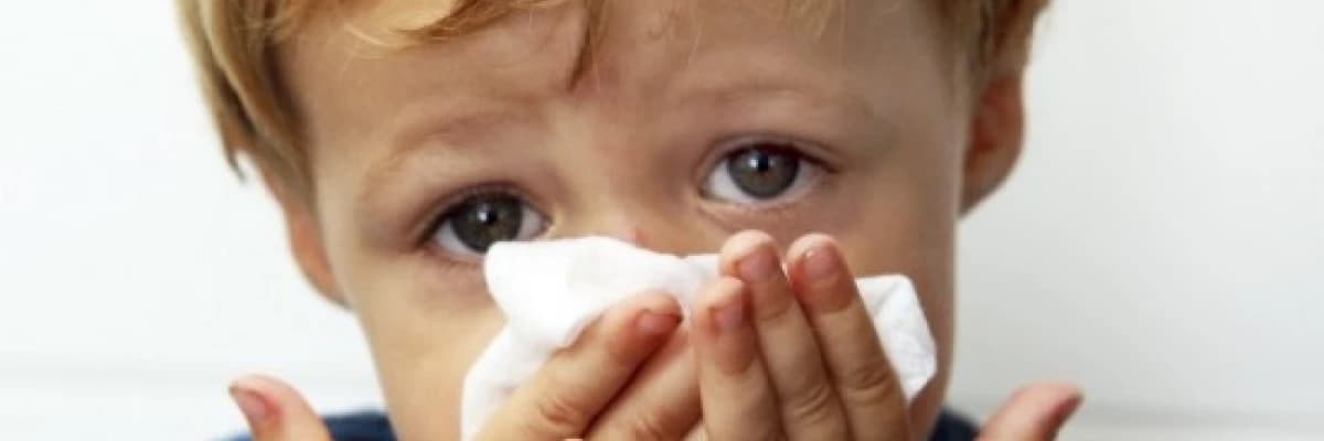 Alerjik Nezle(Rinit) / Saman Nezlesi Nedir ? Nasıl Tanı Konur ? Nasıl Tedavi Edilir ?