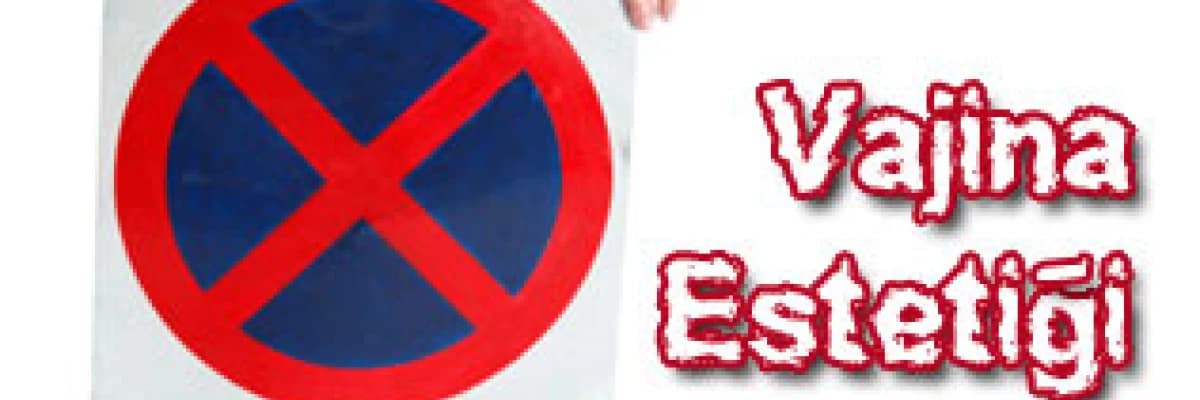 Vajina Estetiği ( Vajinoplasti )