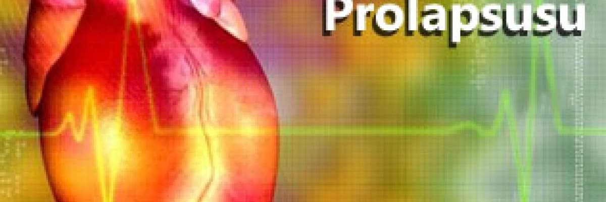 Mitral kapak prolapsusu