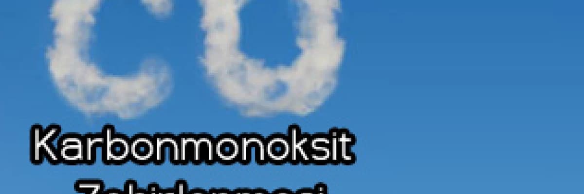 Karbonmonoksit  Zehirlenmesi