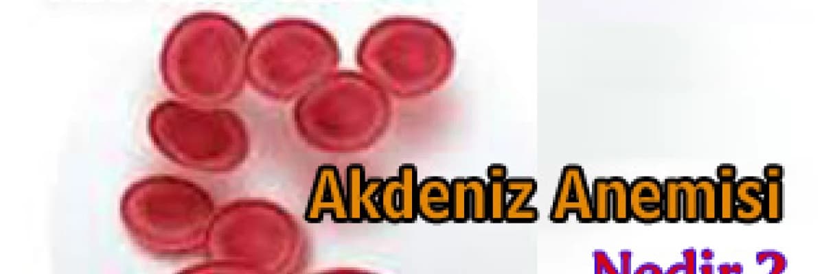 AKDENİZ ANEMİSİ NEDİR