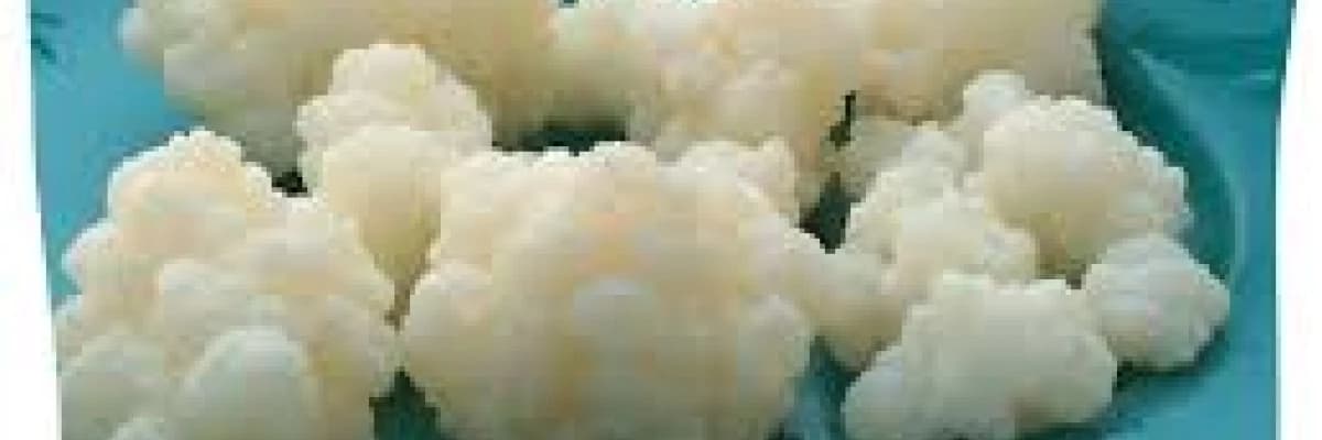 Gençlik İçkisi ? KEFİR