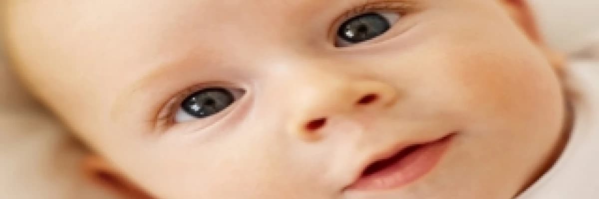 Doğurganlığı Artırıcı Besinler