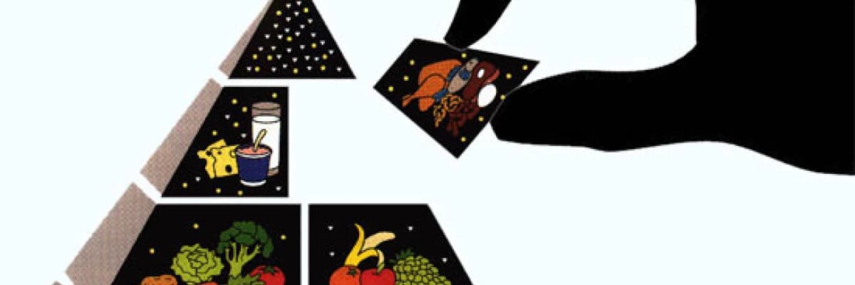 ADOLESAN (ERGEN) VEJETARYEN BİREYLERİN ARTAN DEMİR GEREKSİNİMLERİ NASIL KARŞILANABİLİR?