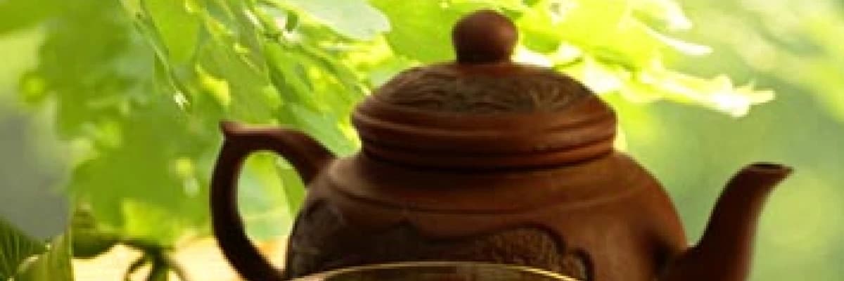 Beyaz Çay ile Gelen Sağlık