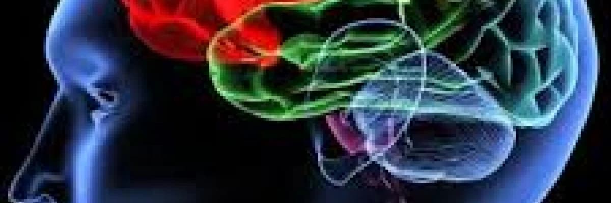 BEYİNDE ZİHİN KURALLARI DOĞUMDAKİ ROLÜ