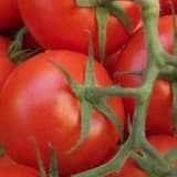 Daha fazla domates yiyerek prostat kanserinden korunabilir miyiz?