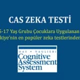 CAS Testi: ( Cognitive assesment system) (bilişsel işlemler sistemi)