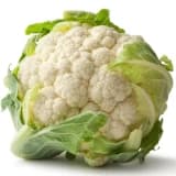 Genital siğil HPV (Kondiloma Akkuminata)