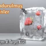 Dondurulmuş besinler