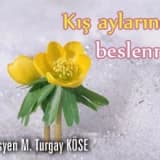 Kış aylarında  beslenme