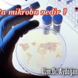 Beta mikrobu nedir ?