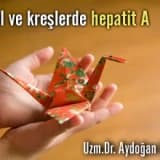 Okul ve kreşlerde hepatit a