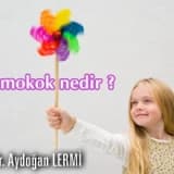 Pnemokok nedir ?