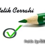 Estetik cerrahi üzerine bir sohbet