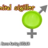 Genital siğiller (kondilom - hpv  enfeksiyonu)