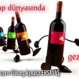 Şarap dünyasında bir gezinti