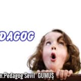 Pedagog; Çocuğunuzun zihinsel, Sosyal, Duygusal Gelişim ve Ruh Sağlığı Uzmanıdır!