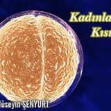 Kadınlarda kısırlık (infertilite)