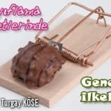 Zayıflama diyetlerinde genel ilkeler