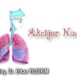 Akciğer nakli (transplantasyon)