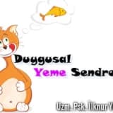 Duygusal yeme sendromu