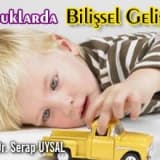 Çocuklarda bilişsel gelişme