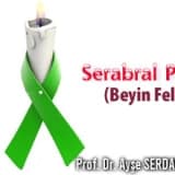 Serabral palsi (beyin felci)