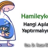 Hamileyken hangi aşıları yaptırmalıyım ?