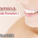 Lamina ( Yaprak Porselen )