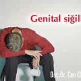 Genital  siğiller