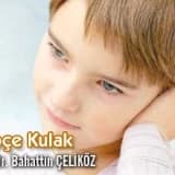 Kepçe Kulak 