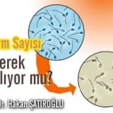 Sperm Sayısı Giderek Azalıyor mu?