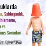 Çocuklarda çalma, saldırganlık, sözdinlememe, uyum ve davranış sorunları