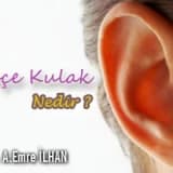 Kepçe kulak nedir ?
