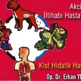 Akciğerin iltihabı hastalıkları kist hidatik hastalığı